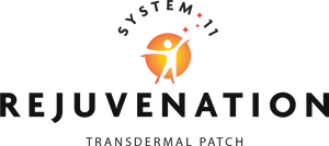 System 11 Patch
